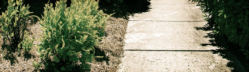 网络电话呼叫软件免费版